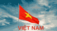 Từ Điển Hán Nôm treo cờ Việt Nam